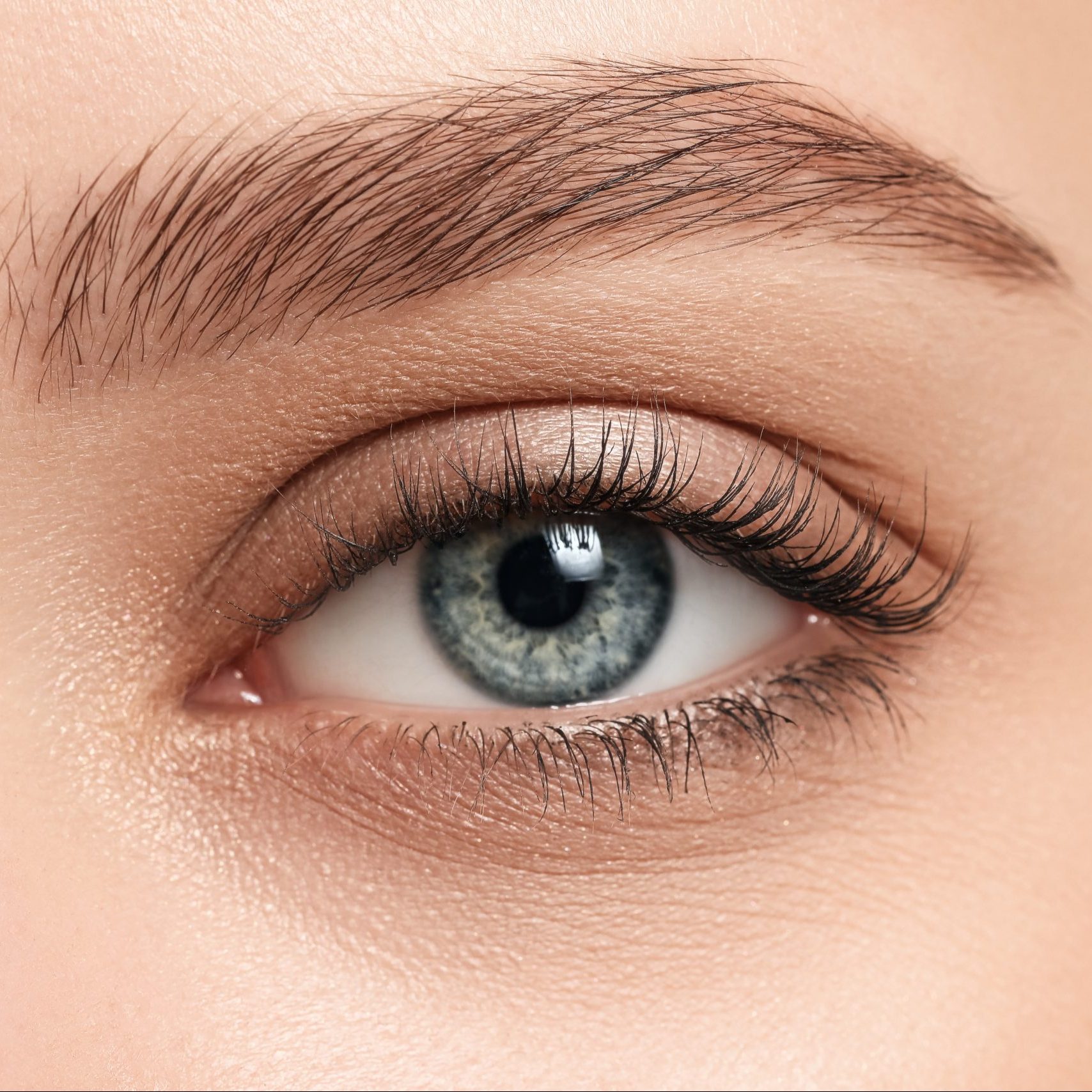 Complete Brow Treatment